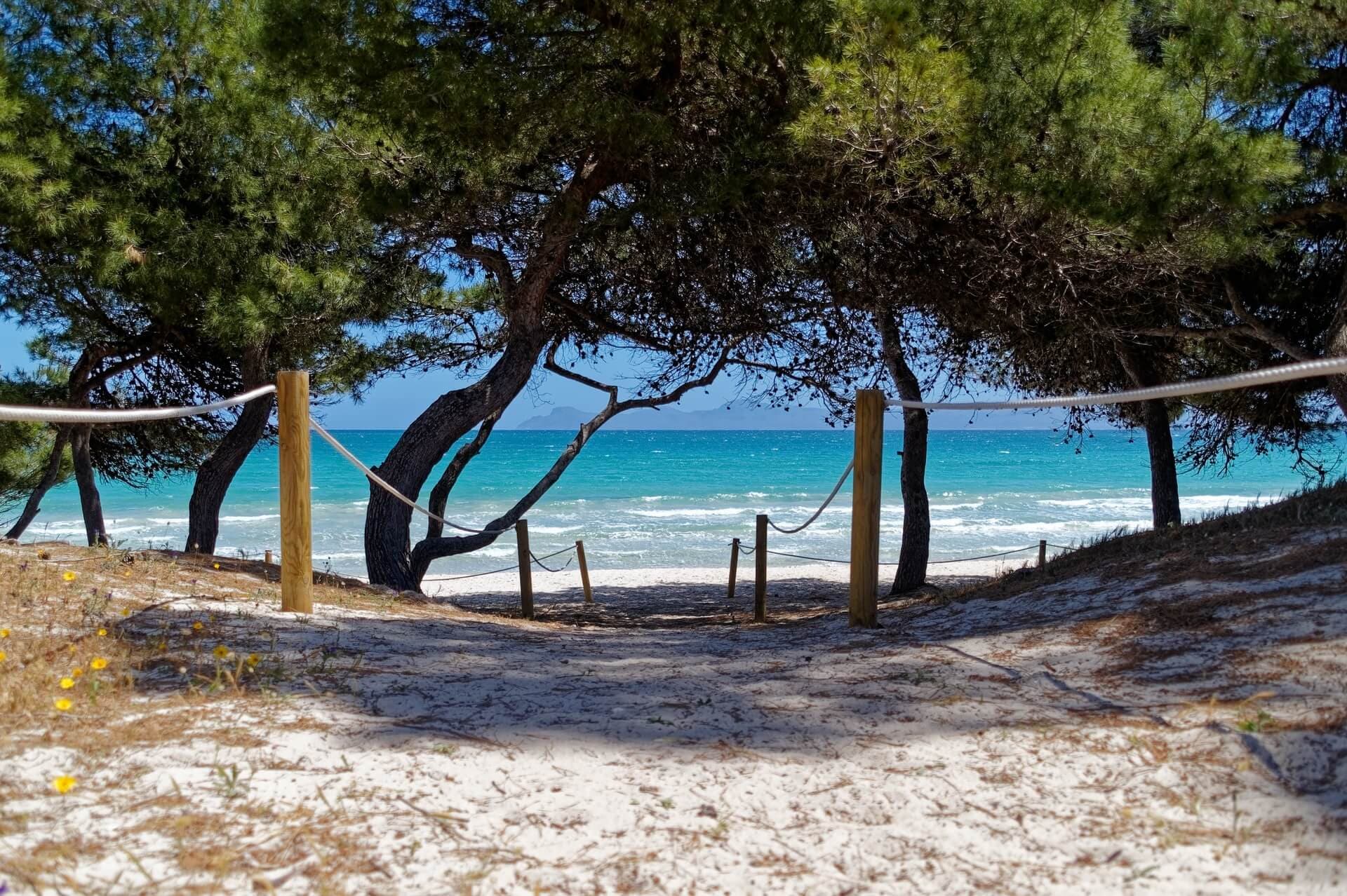 Alcúdia